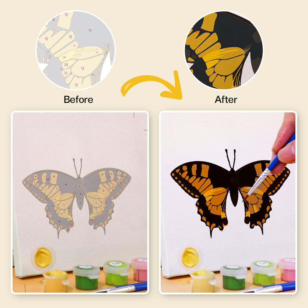 Mini Butterfly Wonder - Detail 5