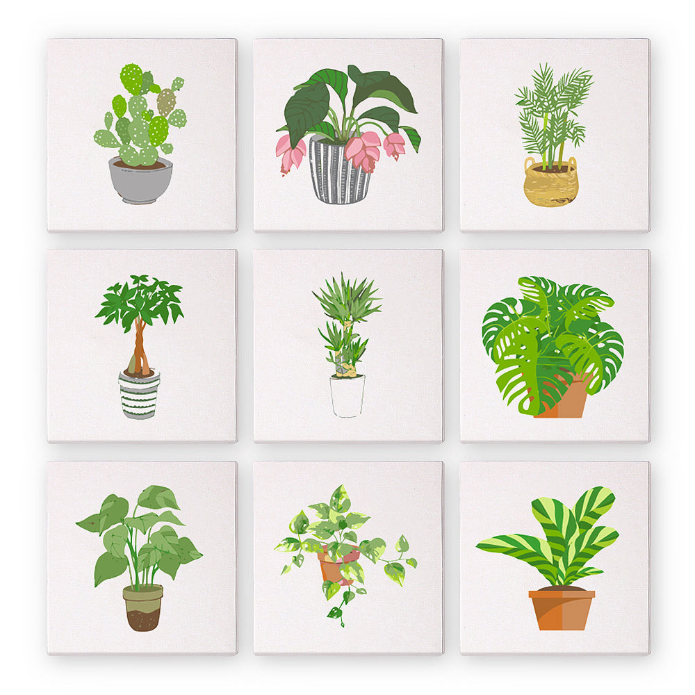 Mini Garden of Indoor Blooms - Paint by Numbers Kit