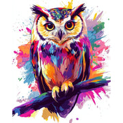Whimsical Owl in Colorful Splash - Paint by Numbers Kit