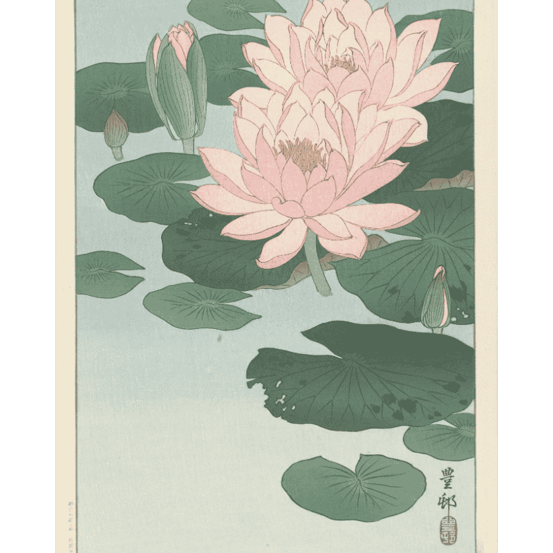 Water Lilies in Bloom - Paint by Numbers Kit