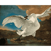The Watchful Swan - Paint by Numbers Kit