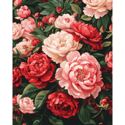 Peony Bliss | Paint by Number - Paint by Numbers Kit