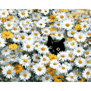 Daisy Field Feline - Paint by Numbers Kit