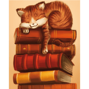 Dreamy Cat Nap - Paint by Numbers Kit