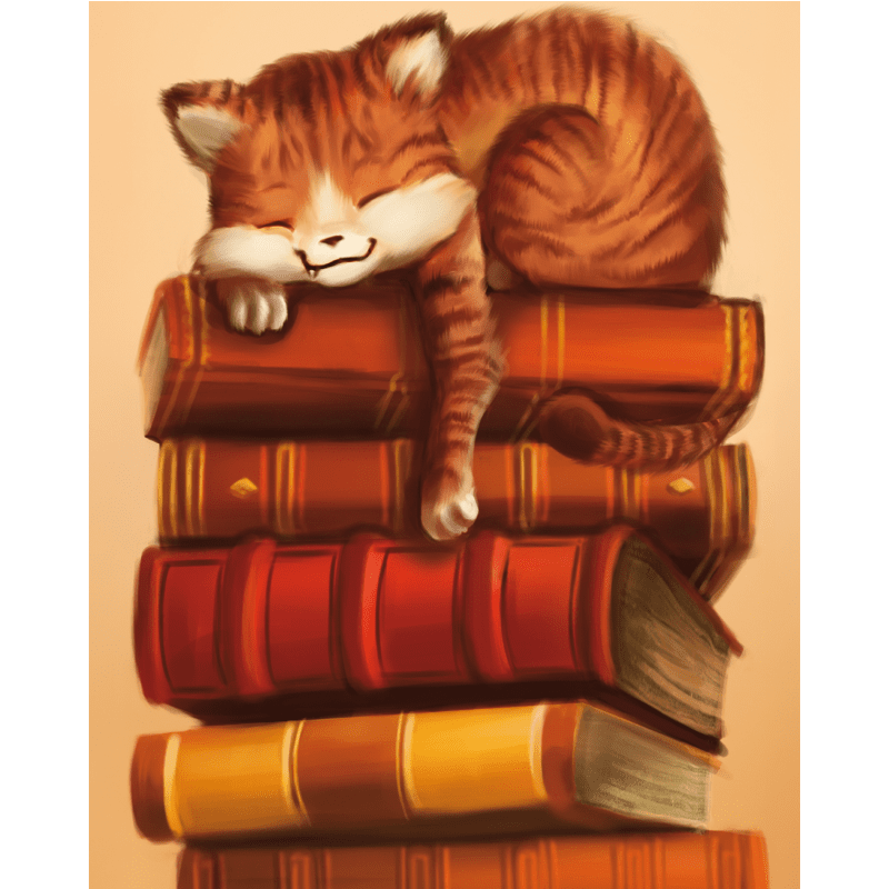 Dreamy Cat Nap - Paint by Numbers Kit