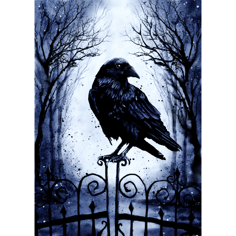 Gothic Crow Mystique - Paint by Numbers Kit