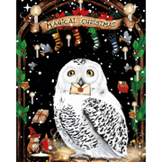 Festive Birdsong - Paint by Numbers Kit