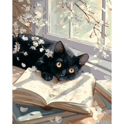 Storybook & Cherry Blossoms - Paint by Numbers Kit