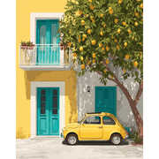 Mediterranean Charm Entrance - Paint by Numbers Kit