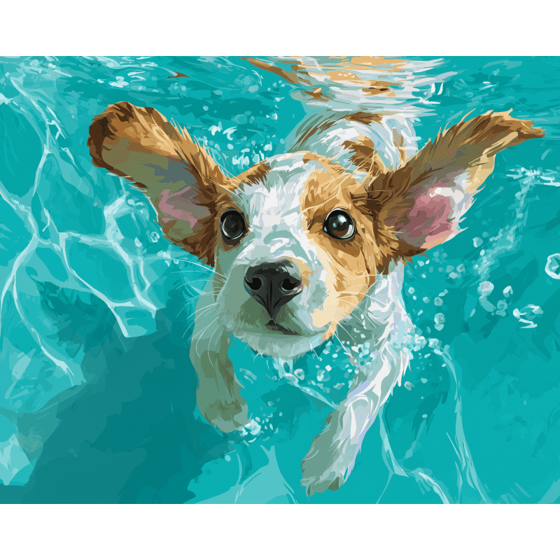 Poolside Pooch | Water Adventure - Paint by Numbers Kit