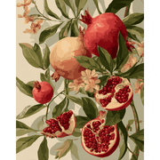 Pomegranate Blossom & Fruit Scene - Paint by Numbers Kit