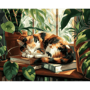 Quiet Reflection by the Window - Paint by Numbers Kit