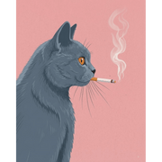 Pink-Hued British Shorthair - Paint by Numbers Kit
