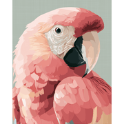 Pink Parrot Splash - Paint by Numbers Kit