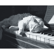 Melody in Monochrome - Paint by Numbers Kit