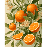 Citrus Sunshine | Paint by Number - Paint by Numbers Kit