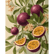 Passion Fruit Blossom - Paint by Numbers Kit