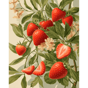 Strawberry Blossom Dreams - Paint by Numbers Kit