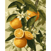 Citrus Sunrise - Paint by Numbers Kit