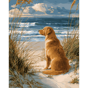 Labrador by the Shore | Paint by Number - Paint by Numbers Kit