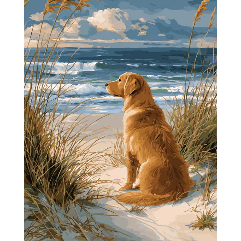 Labrador by the Shore | Paint by Number - Paint by Numbers Kit