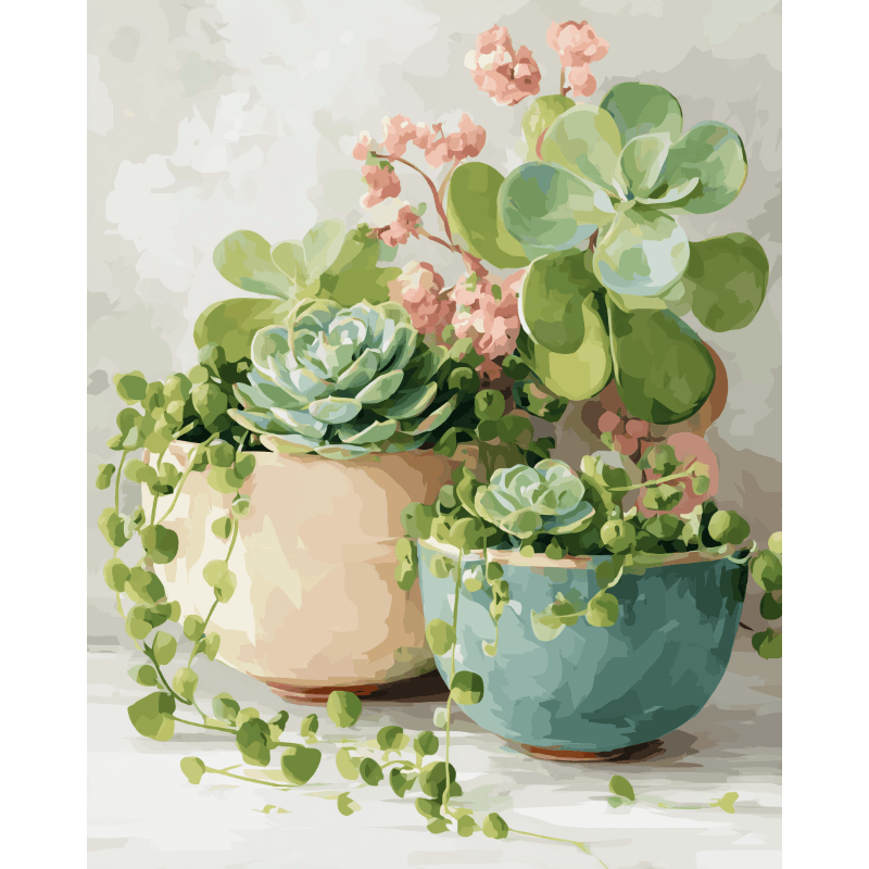 Springtime Succulents in Bloom - Paint by Numbers Kit