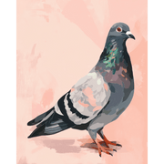 Pigeon’s Peaceful View - Paint by Numbers Kit