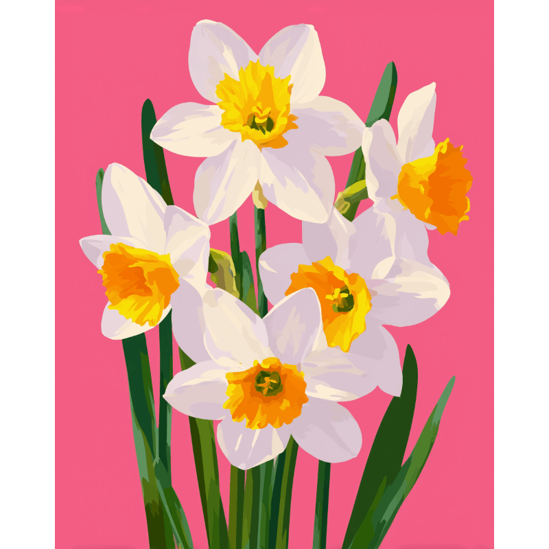 Spring Daffodils in Bloom - Paint by Numbers Kit