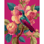 Pink Hummingbird in Flight - Paint by Numbers Kit