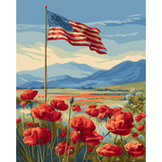 Poppy Field Under the Sky - Paint by Numbers Kit