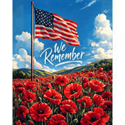 Memorial Day Field | Paint by Number - Paint by Numbers Kit