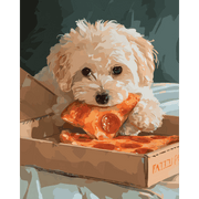 Pets & Pizza Fun - Paint by Numbers Kit