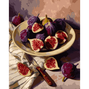 Mediterranean Fig Delights - Paint by Numbers Kit