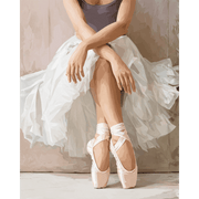 Delicate Pointe Shoes - Paint by Numbers Kit