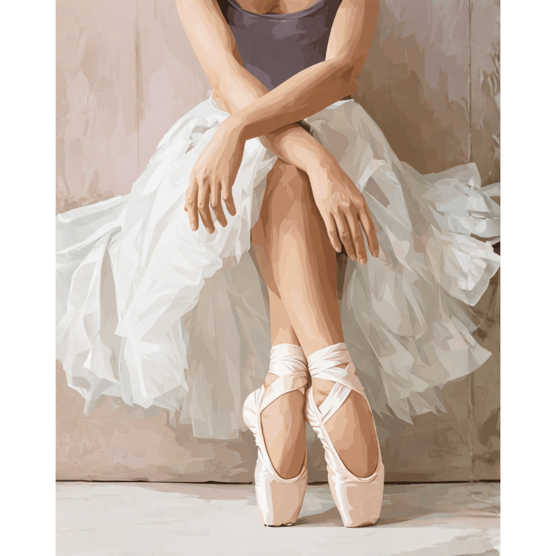 Delicate Pointe Shoes - Paint by Numbers Kit
