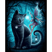 Enchanted Cat & Fairy Forest - Paint by Numbers Kit