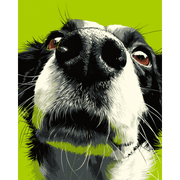 Curious Canine Close-Up - Paint by Numbers Kit