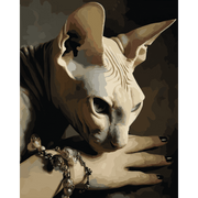 Nocturnal Feline Connection - Paint by Numbers Kit