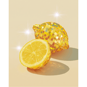 Lemon Disco Sparkle - Paint by Numbers Kit