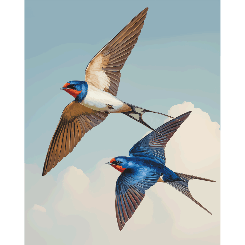 Flying Lovebirds Duo - Paint by Numbers Kit