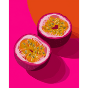 Pink Passion Fruit Burst - Paint by Numbers Kit