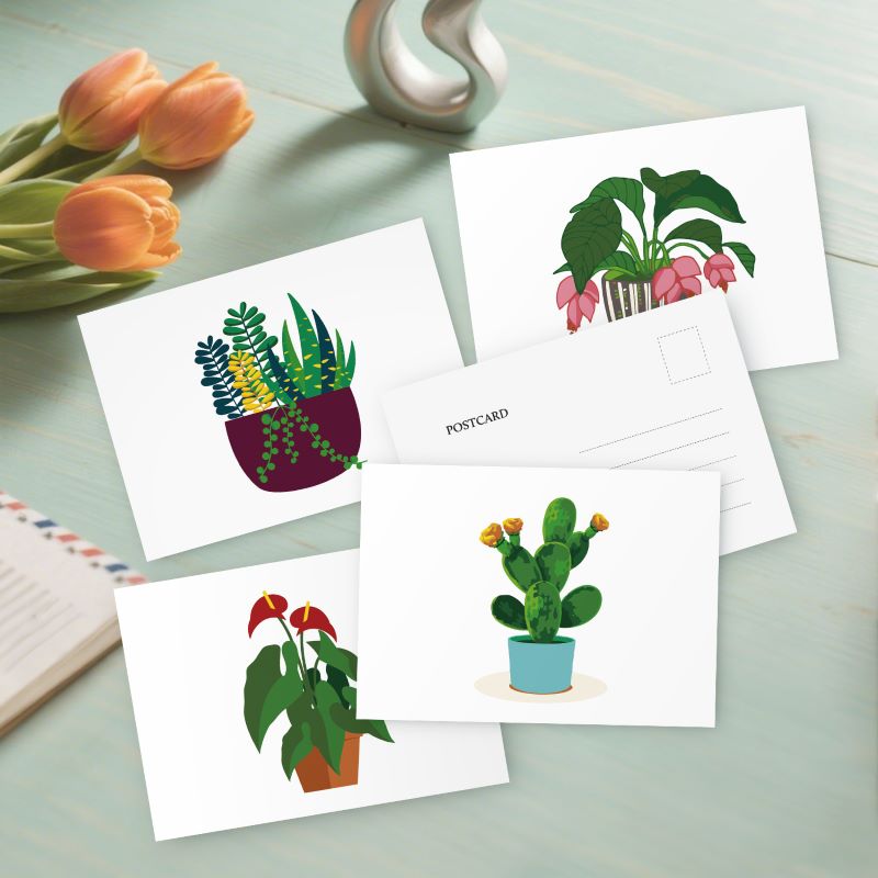 Green Oasis Houseplant Postcards - Detail 7