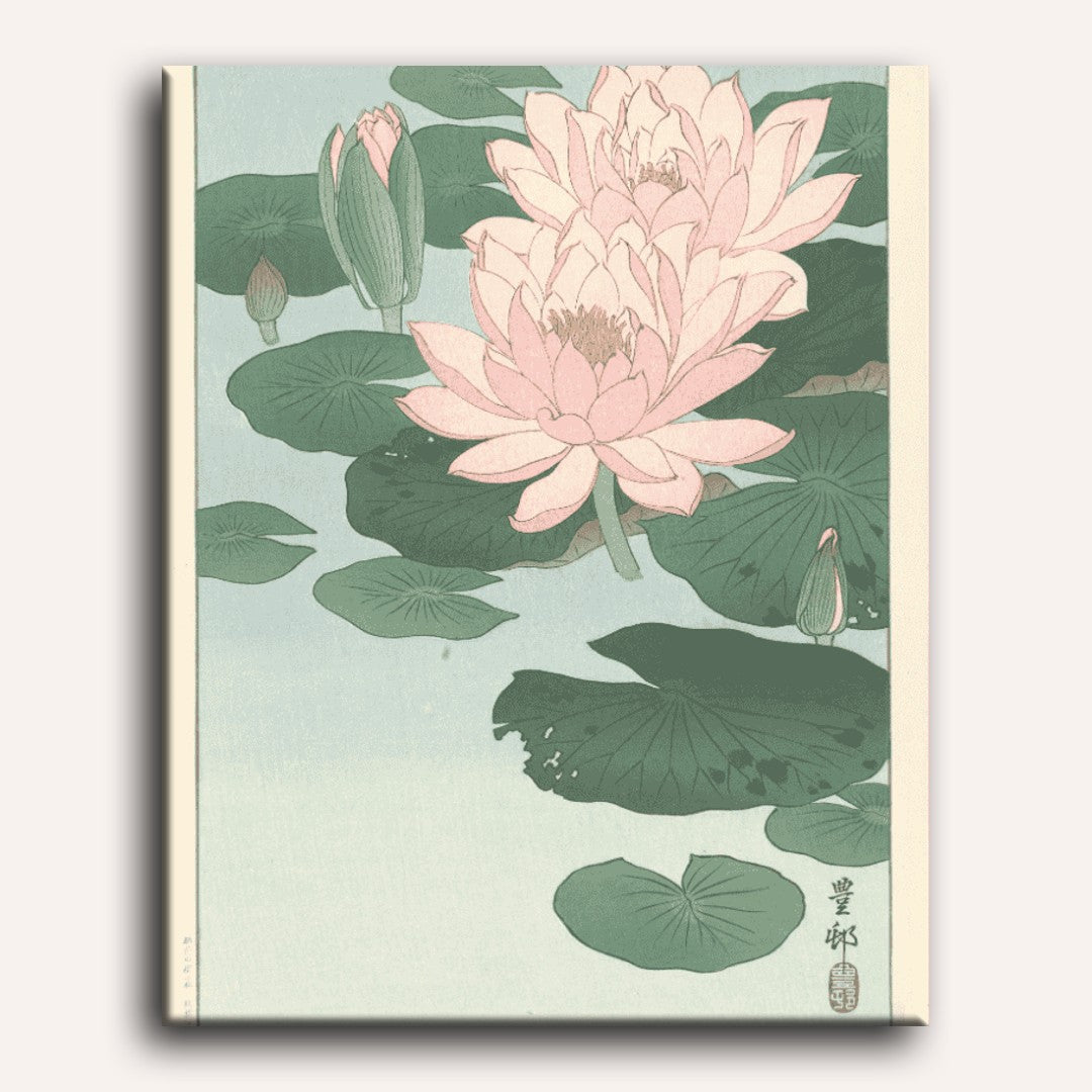Water Lilies in Bloom - Detail 2