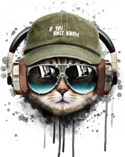 Chill Cat with Headphones - Paint by Numbers Kit