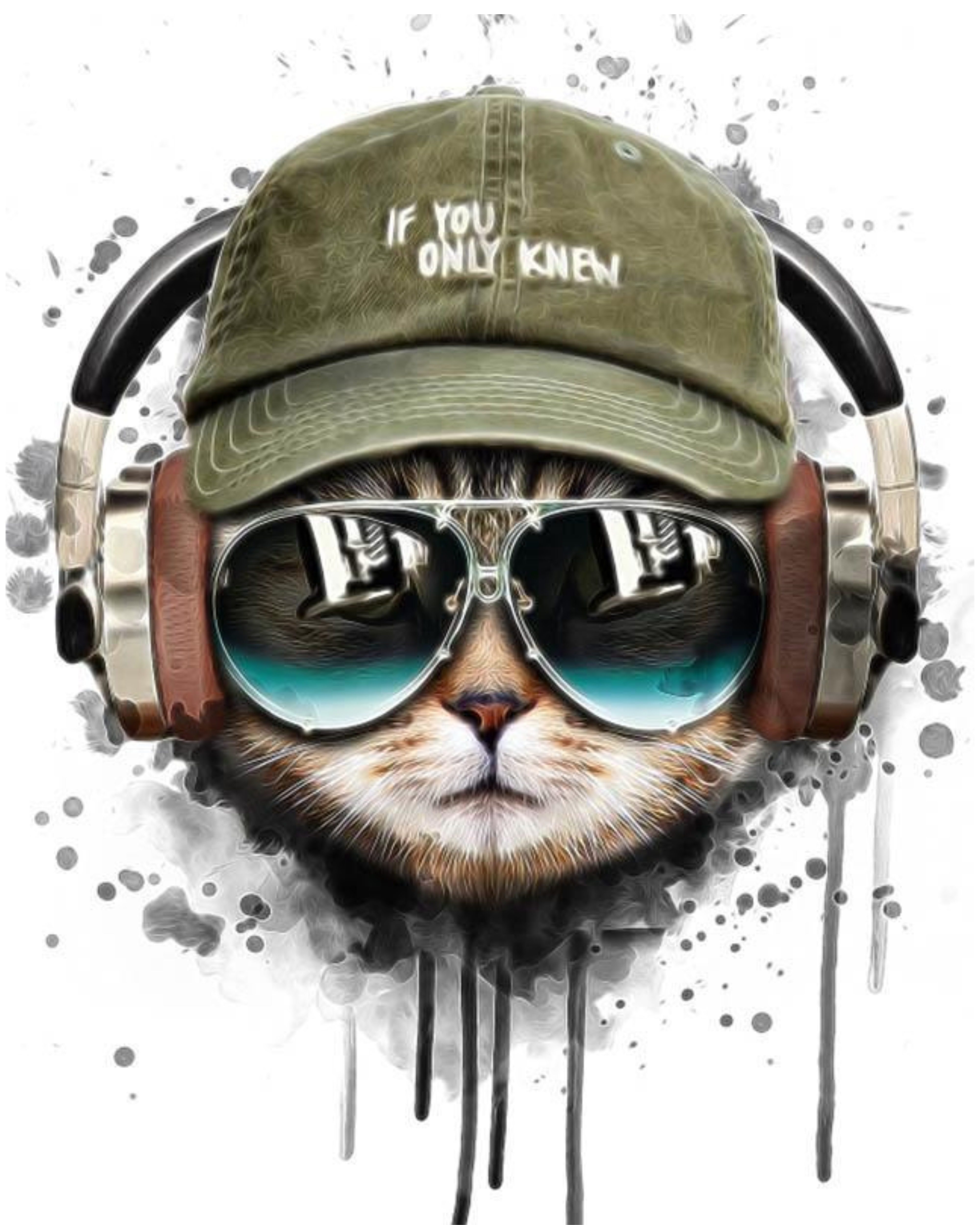 Chill Cat with Headphones - Paint by Numbers Kit