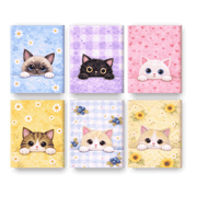 Curious Kittens Collection - Paint by Numbers Kit