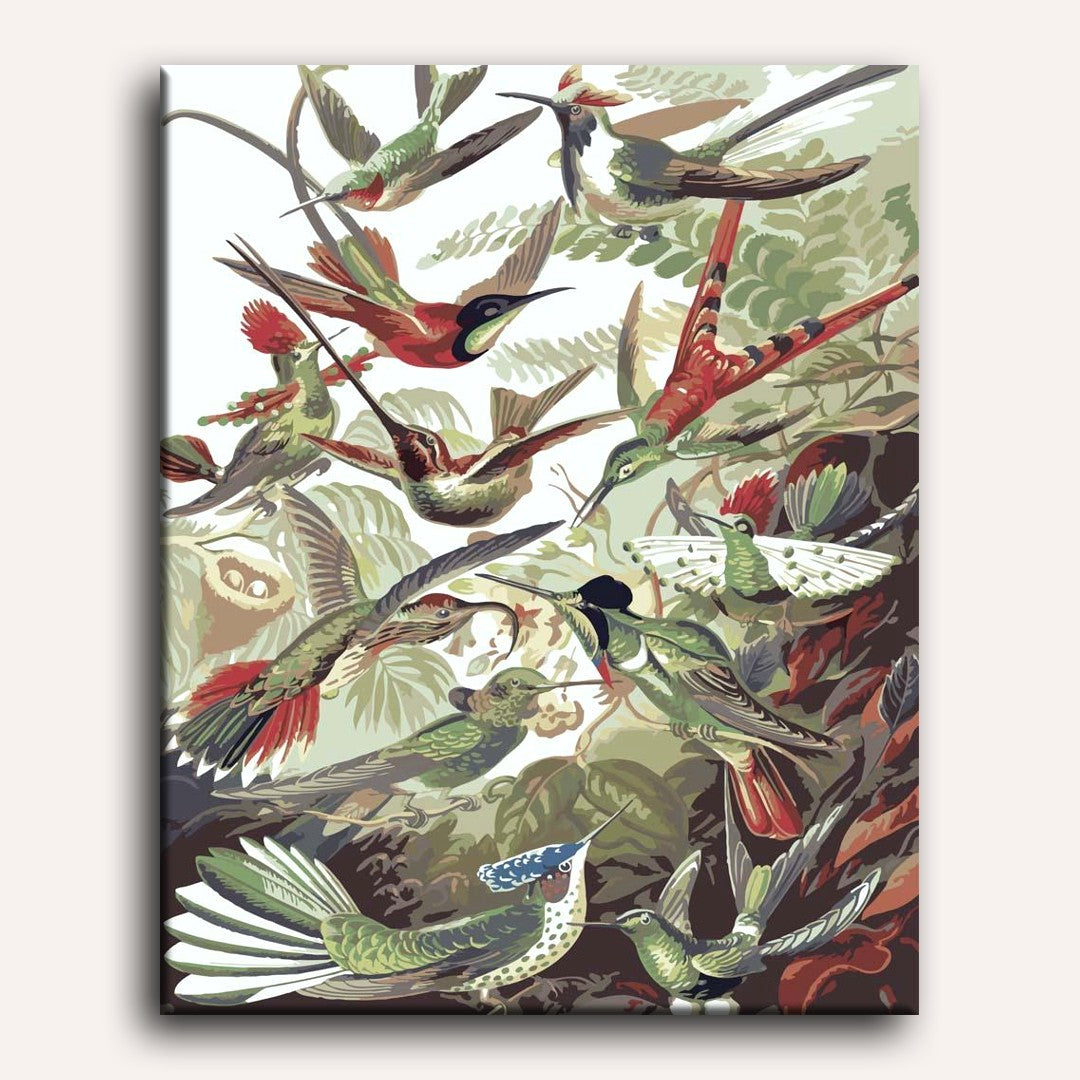 Colorful Hummingbirds in Flight - Detail 2