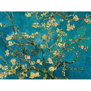 Blossoming Almond Trees in Spring - Paint by Numbers Kit