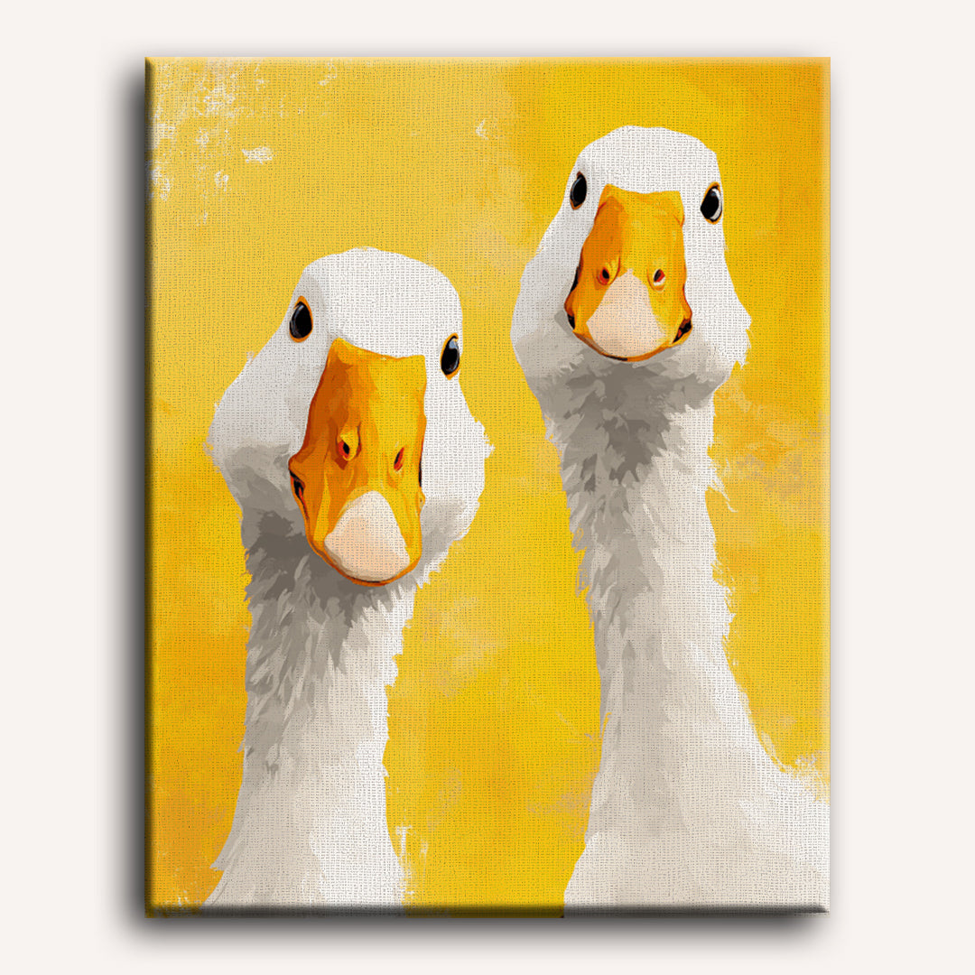 Ducks of Curiosity