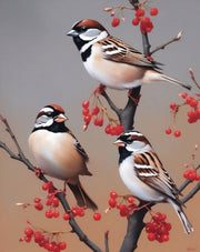 Whimsical Birds in Flight - Paint by Numbers Kit